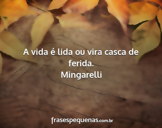 Mingarelli - A vida é lida ou vira casca de ferida....