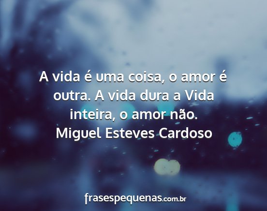 Miguel Esteves Cardoso - A vida é uma coisa, o amor é outra. A vida dura...