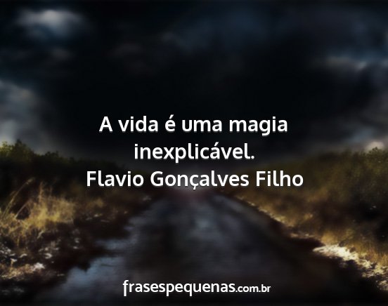 Flavio Gonçalves Filho - A vida é uma magia inexplicável....