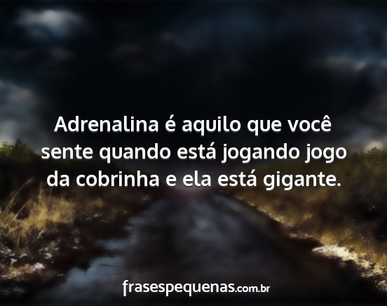 Adrenalina é aquilo que você sente quando está...