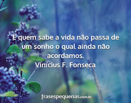 Vinícius F. Fonseca - E quem sabe a vida não passa de um sonho o qual...