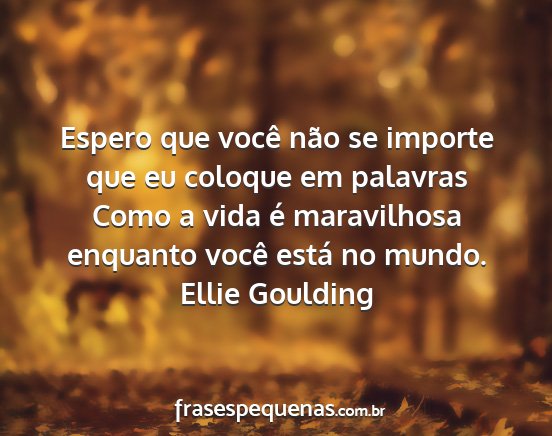 Ellie Goulding - Espero que você não se importe que eu coloque...