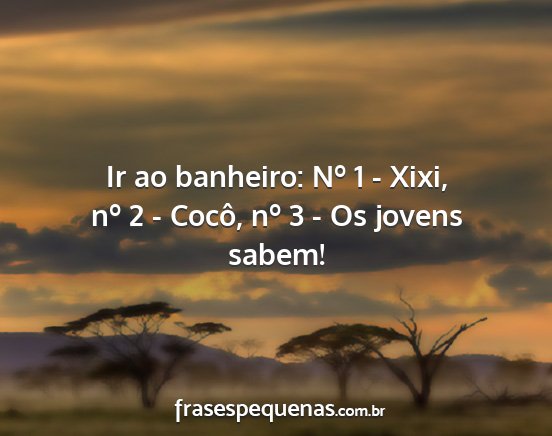 Ir ao banheiro: Nº 1 - Xixi, nº 2 - Cocô, nº...