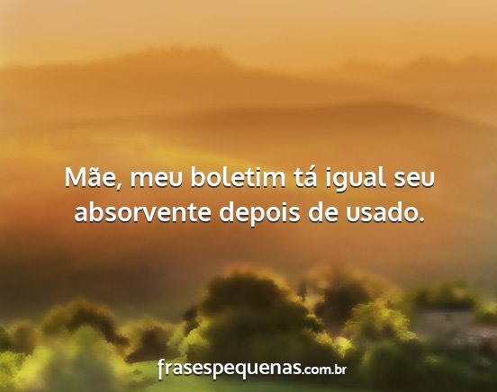 Mãe, meu boletim tá igual seu absorvente depois...