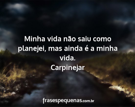 Carpinejar - Minha vida não saiu como planejei, mas ainda é...