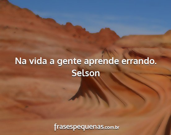 Selson - Na vida a gente aprende errando....