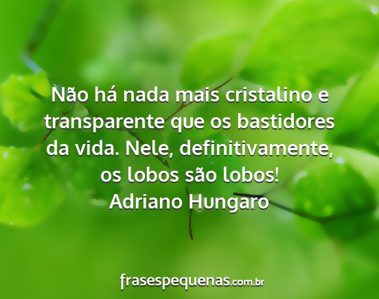 Adriano Hungaro - Não há nada mais cristalino e transparente que...