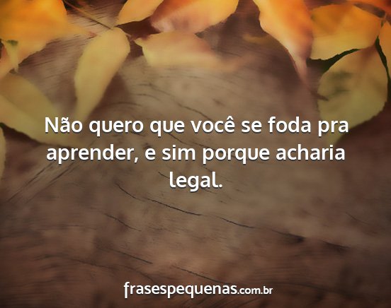 Não quero que você se foda pra aprender, e sim...