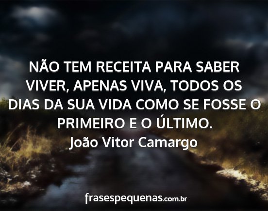 João Vitor Camargo - NÃO TEM RECEITA PARA SABER VIVER, APENAS VIVA,...