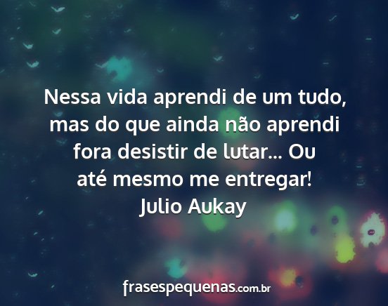 Julio Aukay - Nessa vida aprendi de um tudo, mas do que ainda...