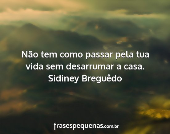 Sidiney Breguêdo - Não tem como passar pela tua vida sem desarrumar...