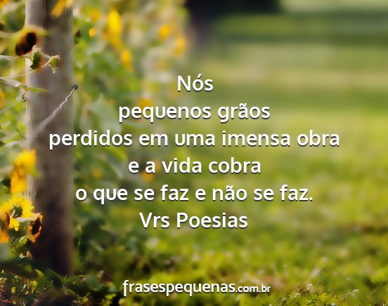 Vrs Poesias - Nós pequenos grãos perdidos em uma imensa obra...