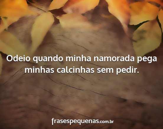 Odeio quando minha namorada pega minhas calcinhas...