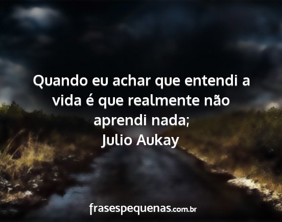 Julio Aukay - Quando eu achar que entendi a vida é que...