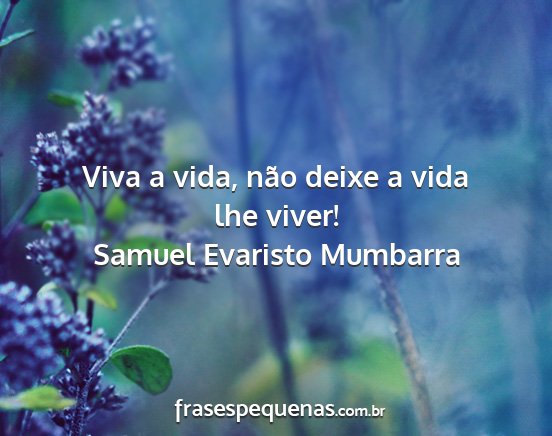 Samuel Evaristo Mumbarra - Viva a vida, não deixe a vida lhe viver!...